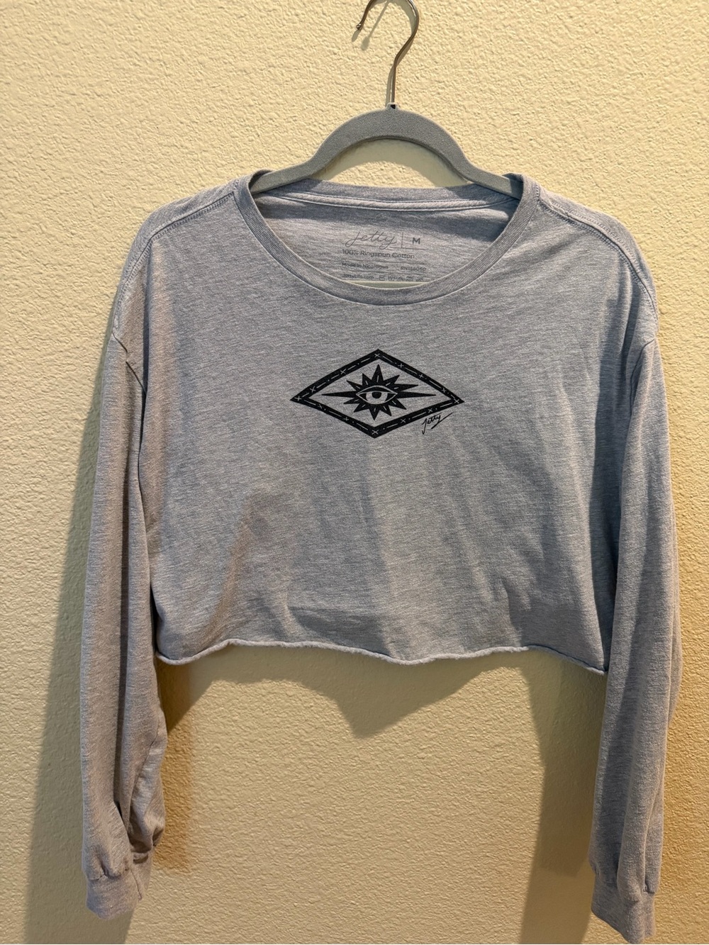 Cropped Light Gray Graphic Long-Sleeve Top